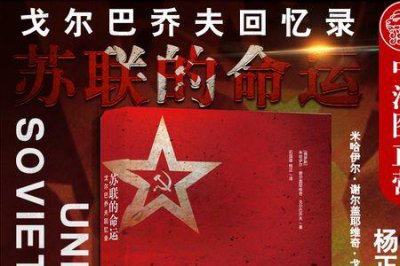 ​苏联休克疗法什么意思