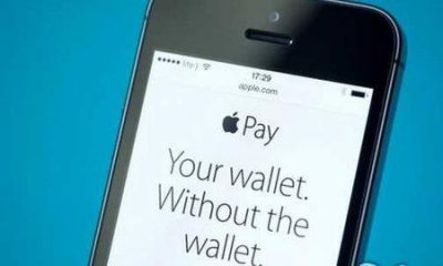 ​pay支付是什么意思