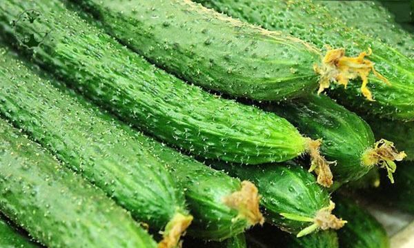 哪些菜不能放冰箱,哪些蔬菜不能放冰箱冷藏图6