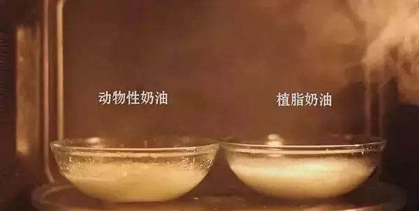 植脂奶油和动物奶油的区别,植物奶油与动物奶油有什么区别,哪一个更好?图11