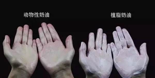 植脂奶油和动物奶油的区别,植物奶油与动物奶油有什么区别,哪一个更好?图8