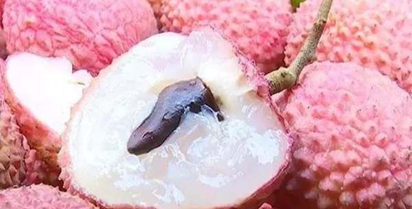 合江县美食排行榜,富顺豆花是四川哪里的图6