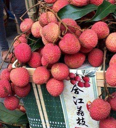 合江县美食排行榜,富顺豆花是四川哪里的图7