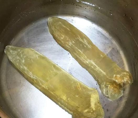 鱼胶一般泡多久才能煲汤