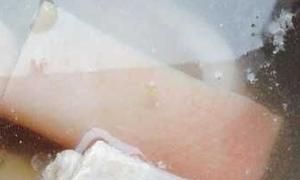 怎样熬皮冻，怎样做皮冻？图1
