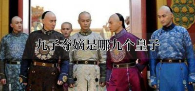 ​九子夺嫡是哪九个皇子