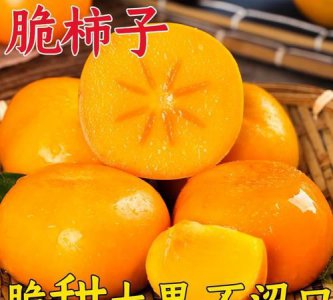 ​脆柿子怎么看熟不熟,绿色的脆柿子是不是没熟的