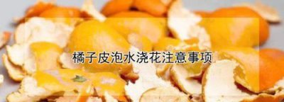 ​果皮发酵多久能浇花,水果皮发酵多久可以浇花有臭味吗