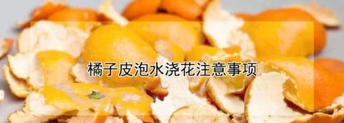 水果皮发酵多久可以浇花有臭味吗