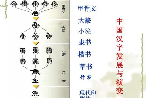 汉字演变过程的时间排序正确的是