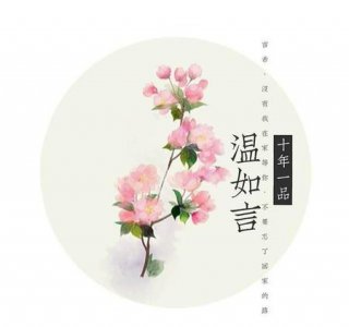 ​十年一品温如言说的什么(十年一品温如言讲了什么故事)