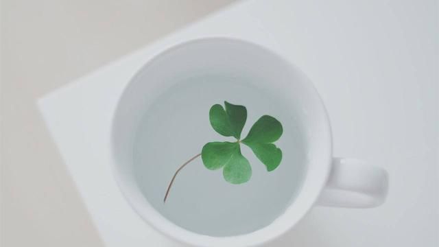 自由职业有哪些,可以月薪上万的自由职业有哪些?图6