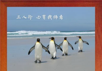 ​三人行必有我师出自,三人行必有我师最早是谁提出来的