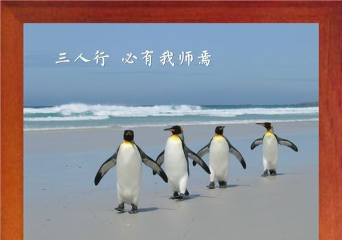 三人行必有我师最早是谁提出来的