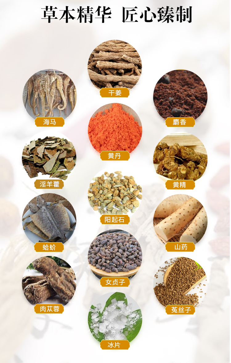 古龙升阳是什么意思