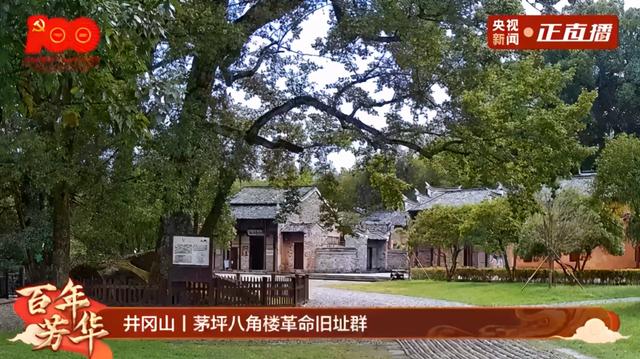 井冈山革命根据地先烈（百年芳华4.8万余名烈士长眠井冈山）(13)