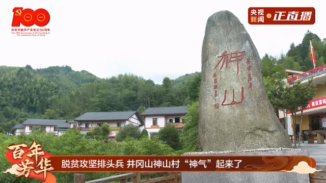 井冈山革命根据地先烈（百年芳华4.8万余名烈士长眠井冈山）(29)