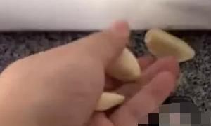 家中有蚂蚁怎么办，家里经常有蚂蚁出没，该用什么办法去处理呢？图4