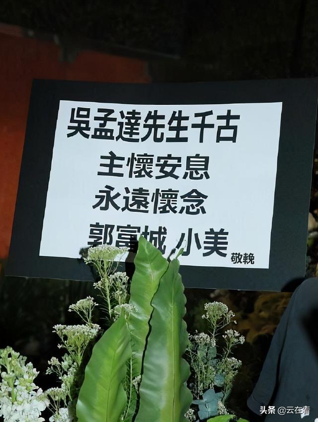 众明星出席吴孟达葬礼仪式(著名香港影星吴孟达丧礼举行)(9)