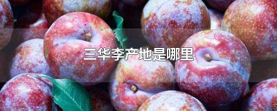 ​三华李产地是哪里(三华李产地是广东省翁源县)