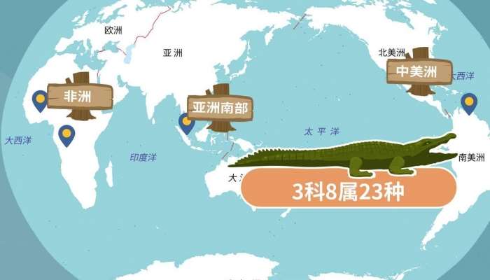 南非在哪里