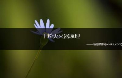 ​干粉灭火器原理（干粉灭火器原理是什么）
