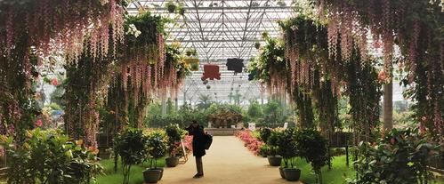 九州伊甸园热带植物园