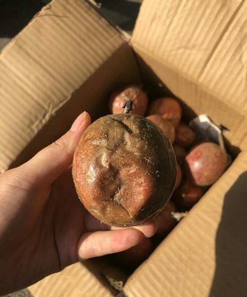 百香果外皮发霉了里面肉还好的还能吃吗