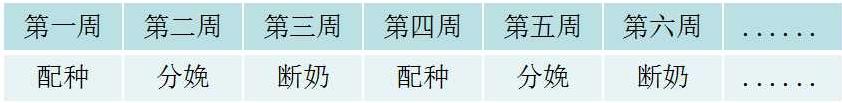 猪场如何做批次生产(你知道猪场中的批次化生产吗)(3)
