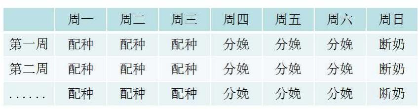 猪场如何做批次生产(你知道猪场中的批次化生产吗)(2)