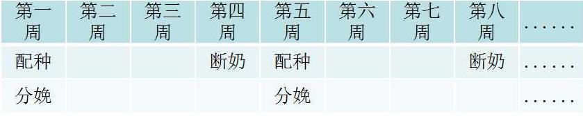 猪场如何做批次生产(你知道猪场中的批次化生产吗)(4)