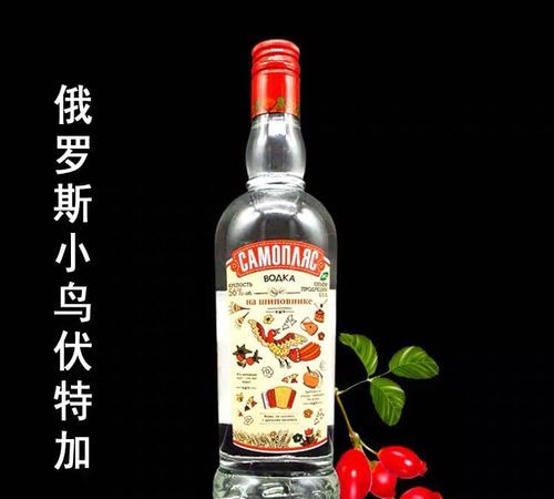 小鸟伏特加什么梗