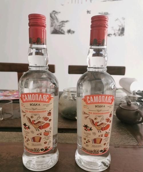 新东方小鸟伏特加歌词