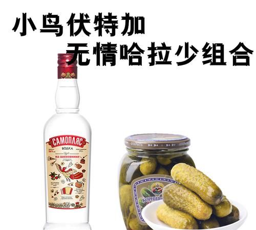 95度小鸟伏特加什么意思