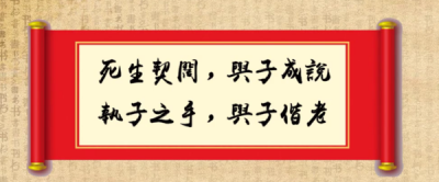 ​执子之手与子偕老意思是什么意思,执子之手与子偕老