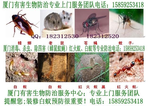 四害是什么