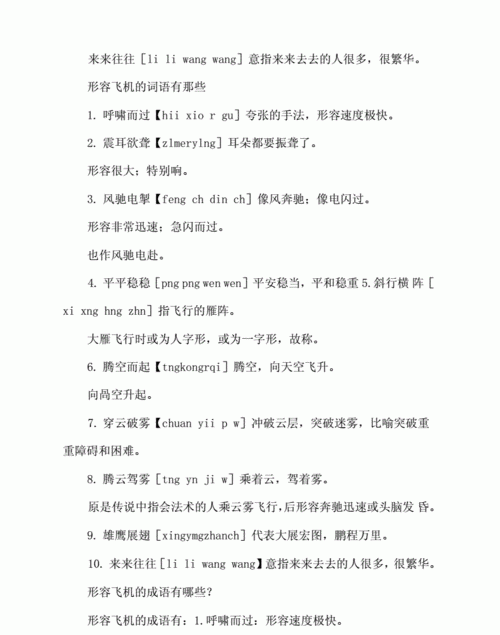 一什么什么飞机的成语