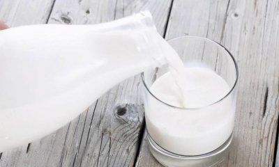 ​鲜牛奶结块了能喝吗，光明鲜牛奶结块了还能喝吗？