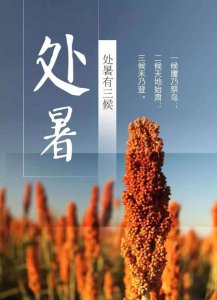 ​处暑节气含义，处暑吃什么比较好处暑节气应该如何养生？