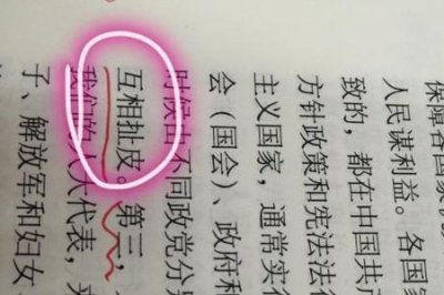 ​扯皮是什么意思