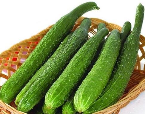 凉薯怎样储存能不烂,地瓜吃的是根还是茎?图2