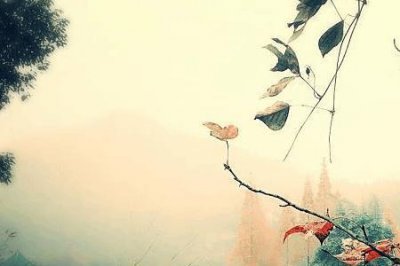 ​弱水三千只取一瓢意思