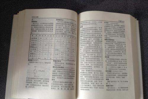 无字词典指的是什么,无字词典指的是什么?图4