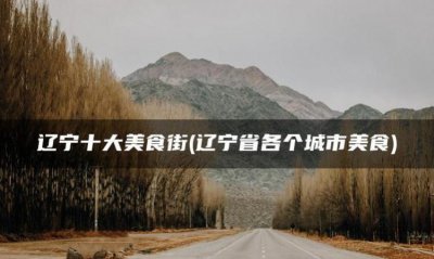​丹东美食一条街在什么位置,丹东吃的海鲜一条街在哪里