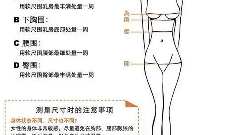 衣服胸围怎么量,衣服胸围怎么测量才标准图3