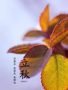 ​下午立秋有什么说法（下午立秋的说法有哪些）