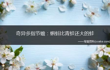奇异多指节蟾：蝌蚪比青蛙还大的蛙
