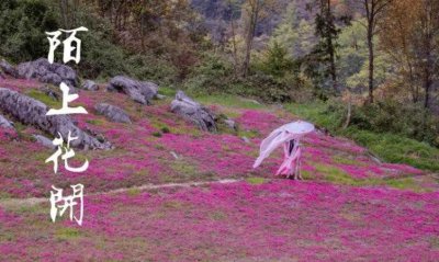 ​陌上花开什么意思