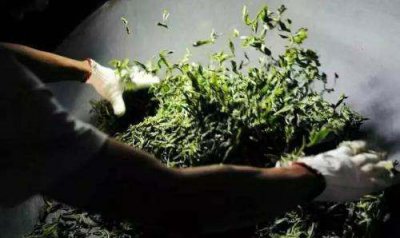 ​炒茶叶怎么炒,炒仔茶的功效是什么