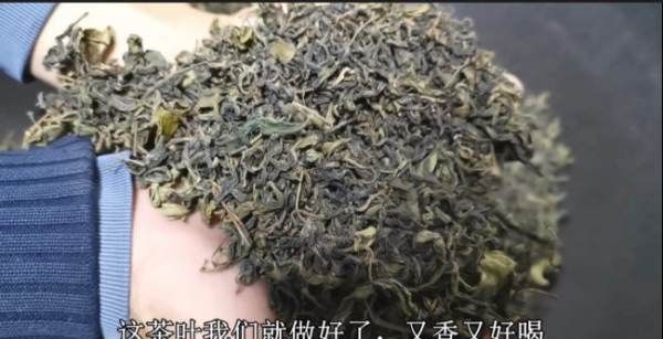 炒茶叶怎么炒,炒仔茶的功效是什么图12